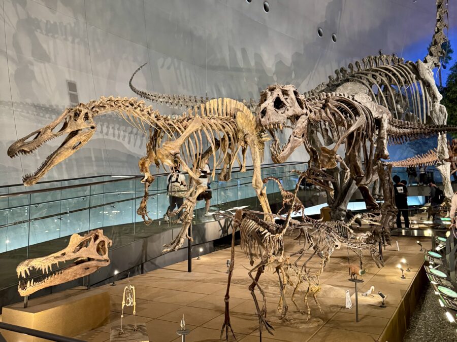 福井恐竜博物館恐竜(2026.04.16)