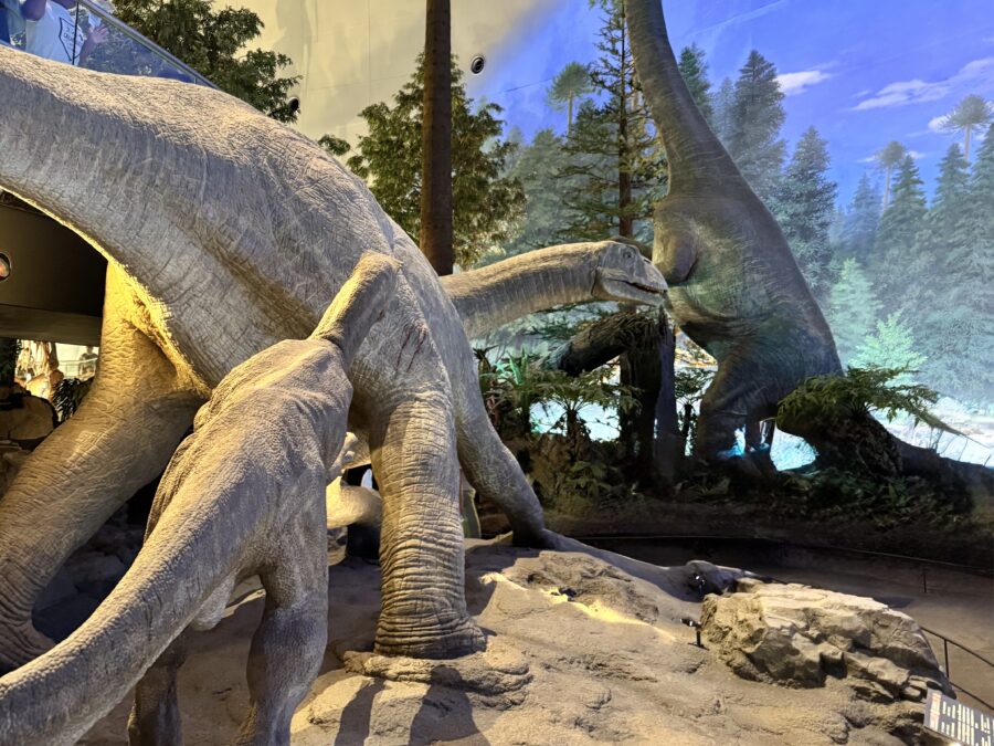 福井恐竜博物館恐竜 「恐竜の世界」(2026.04.16)