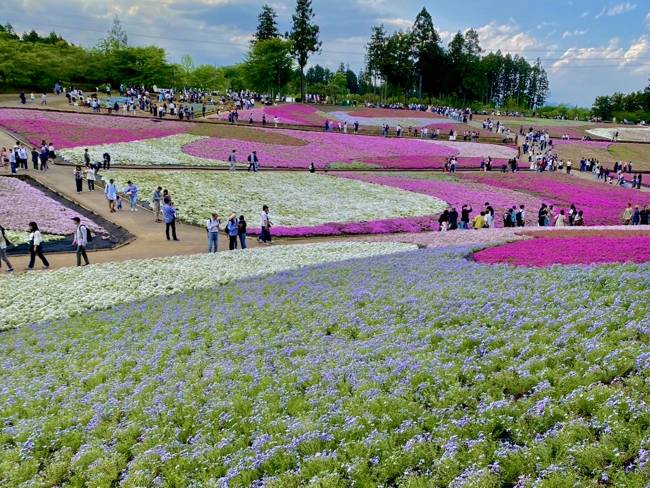 明日にでも行ける、都心から１時間と少しの弾丸日帰りデート旅