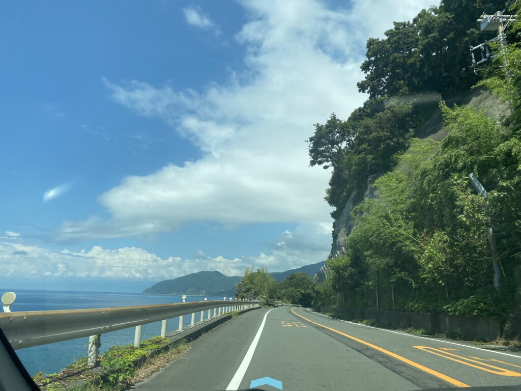 西伊豆 夏 道