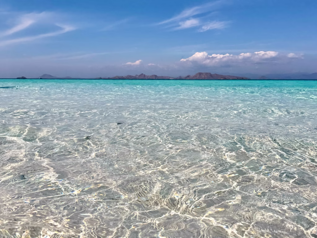 タカマカッサル