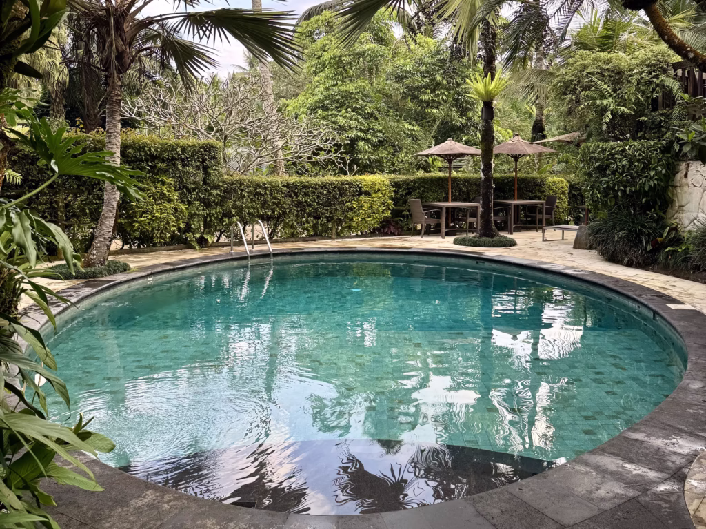 Mason Elephant Park & Lodge プール(2025-09-10)