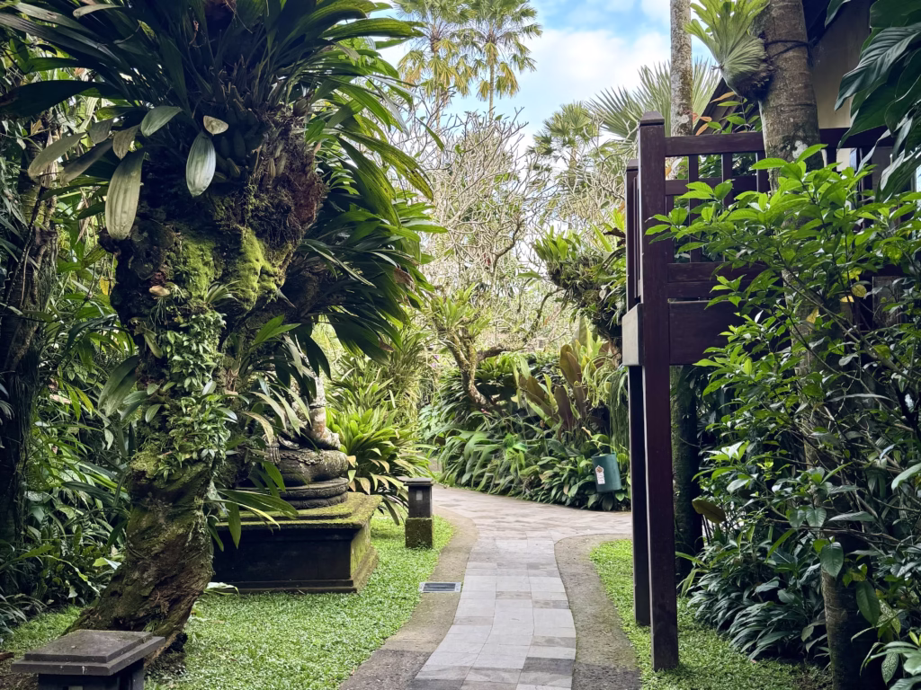 Mason Elephant Park & Lodge ホテル内の様子(2025-10-15)