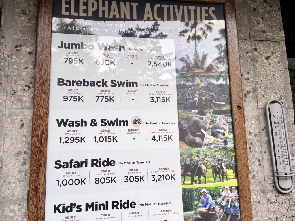 Mason Elephant Park & Lodge 象のアクティビティ(2025-10-15)