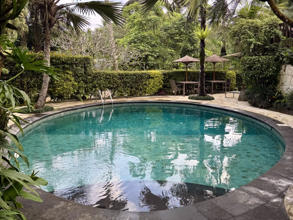 Mason Elephant Park & Lodge プール(2025-10-15)