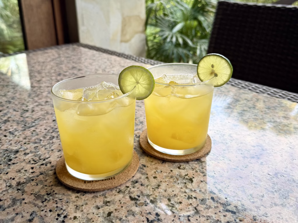 Mason Elephant Park & Lodge ウェルカムドリンクのオレンジジュース(2025-10-15)