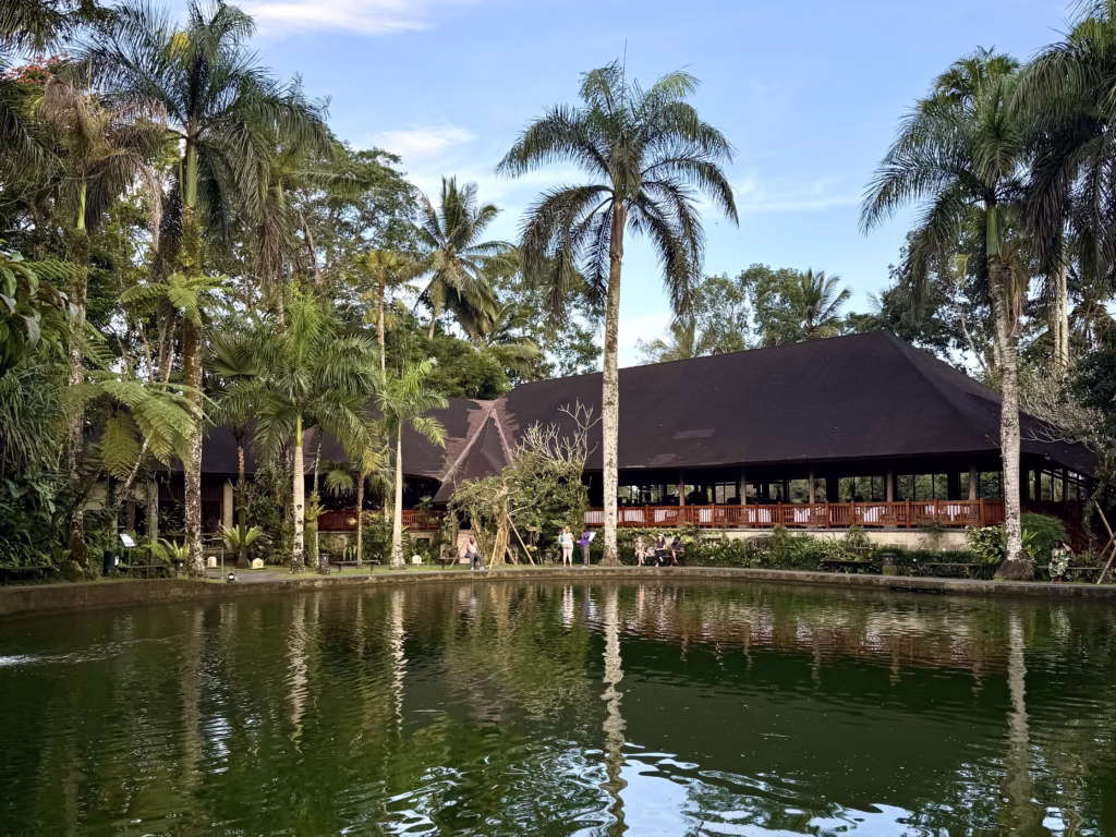 Mason Elephant Park & Lodge eyecauch