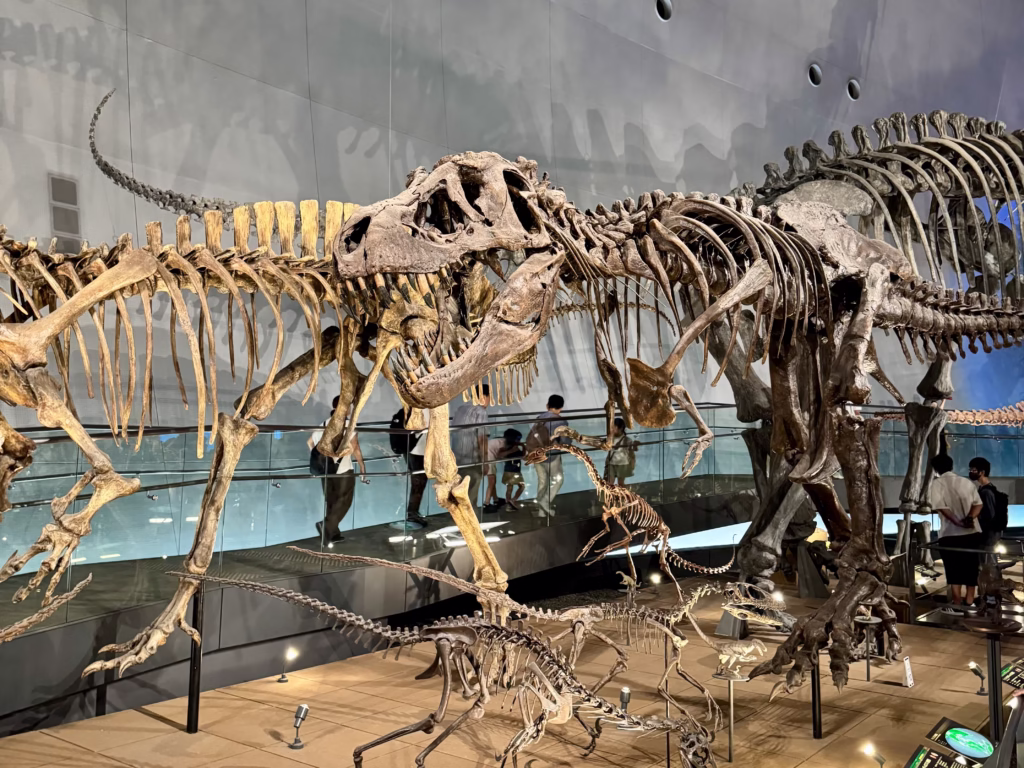 福井旅行 福井県立恐竜博物館 (2025.11.19)