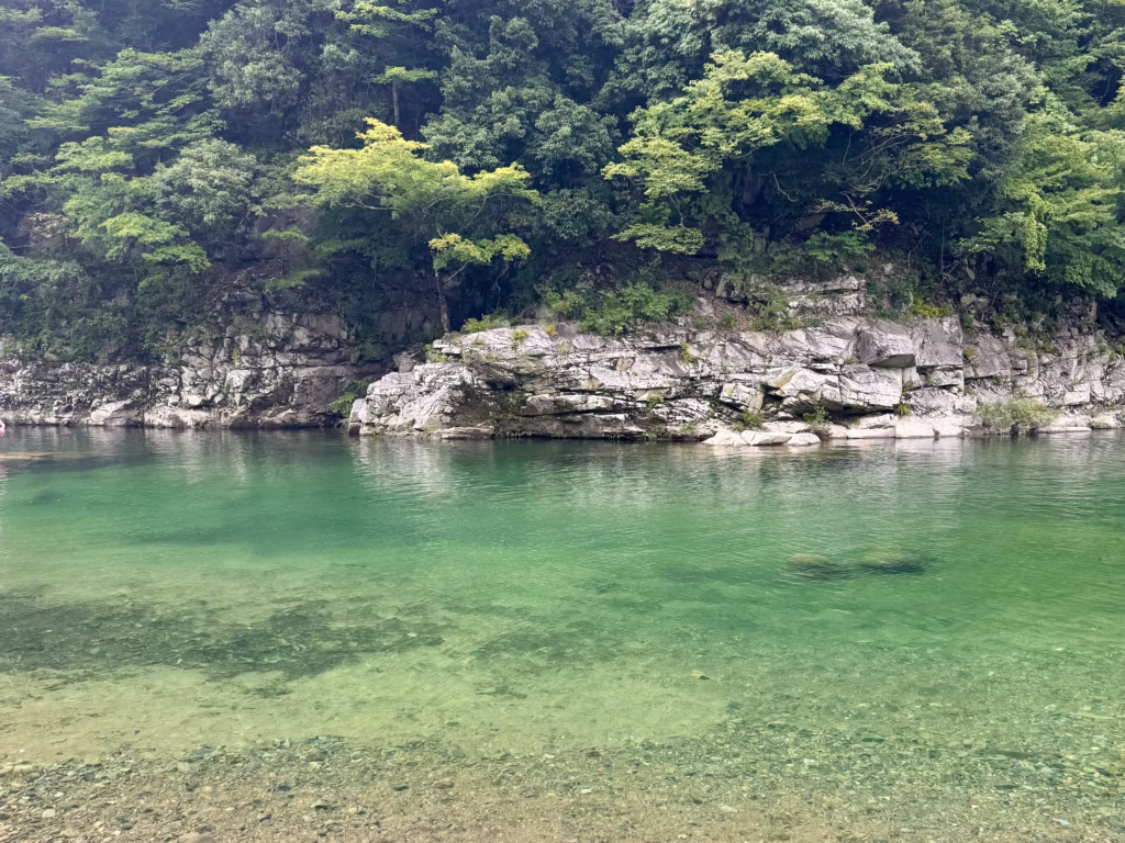 福井旅行 九頭竜川 勝山園地(2025.11.19)