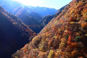 秩父旅行(2025.11.10)