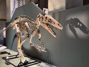 福井恐竜博物館(2026.04.16)